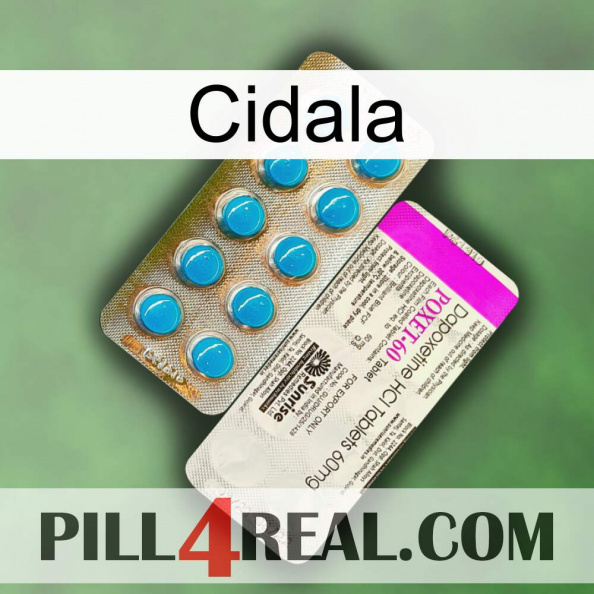 Cidala new07